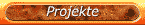 Projekte
